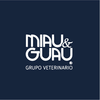 LOGOS CLIENTESRecurso 13@3x-80 LOGOS CLIENTESRecurso 13@3x-80