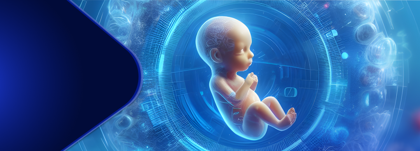 Ocean Medic_Inteligencia Artificial en obstetricia durante el segundo trimestre de embarazo.