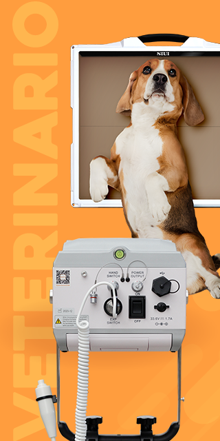 categoria-veterinario categoria-veterinario