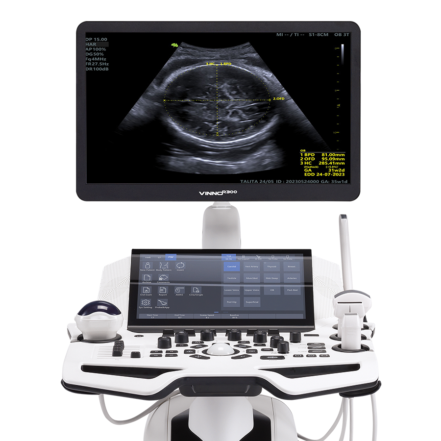 r300 001-1 r300 001-1