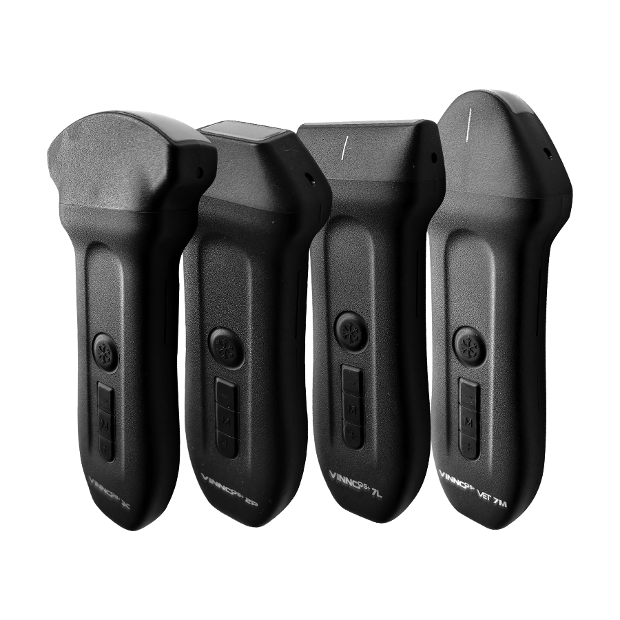 serie q plus 006 serie q plus 006